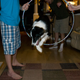 Image for article titled Shooting Challenge: Levitation, Gallery 2